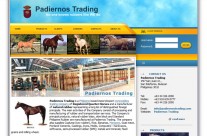 Padiernos Trading – Official Website
