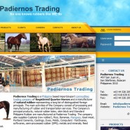 Padiernos Trading – Official Website