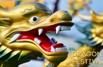 Dragon Boat MR500 Festival 2013