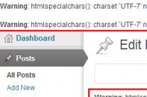 WordPress warning htmlspecialchars() [function.htmlspecialchars]: charset `UTF-7′ not supported after upgrading to WordPress 3.6.1